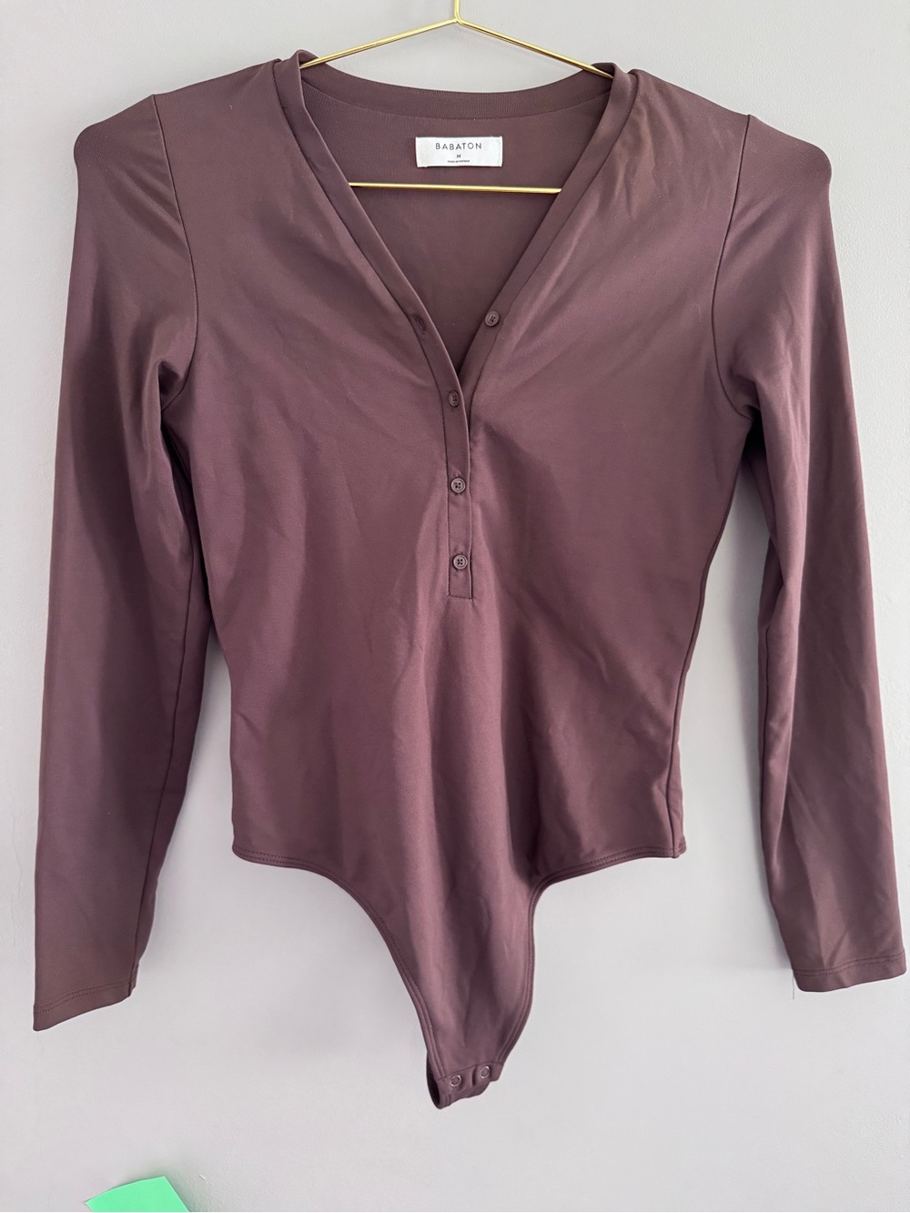Aritzia Babaton Long-Sleeve Bodysuit